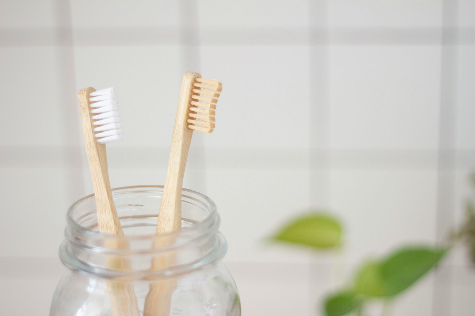 Dental-brush